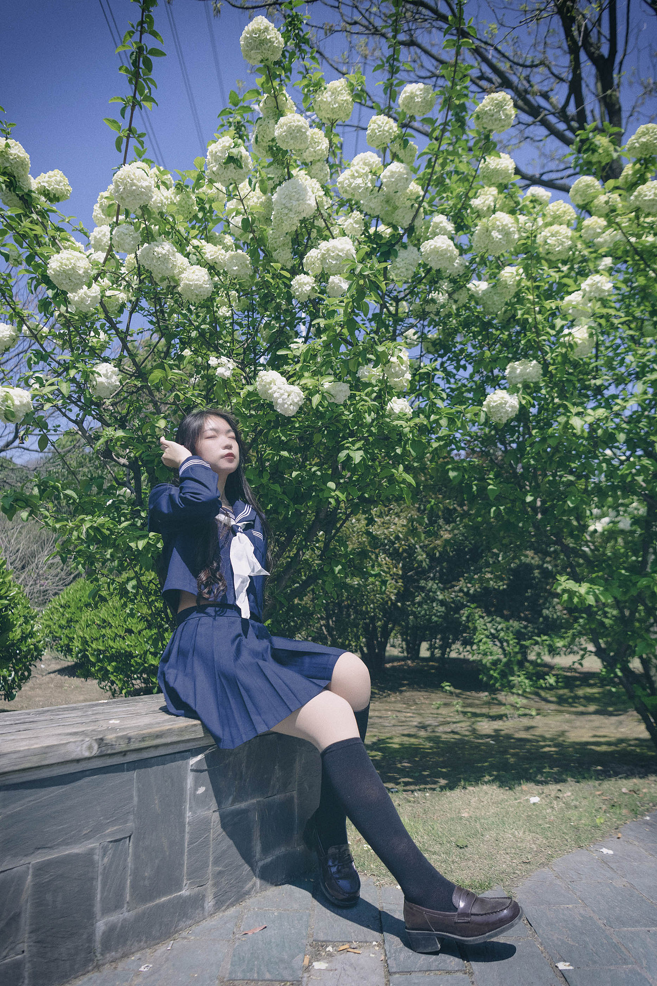 胶片模拟：时光静好，与绣球花为伴