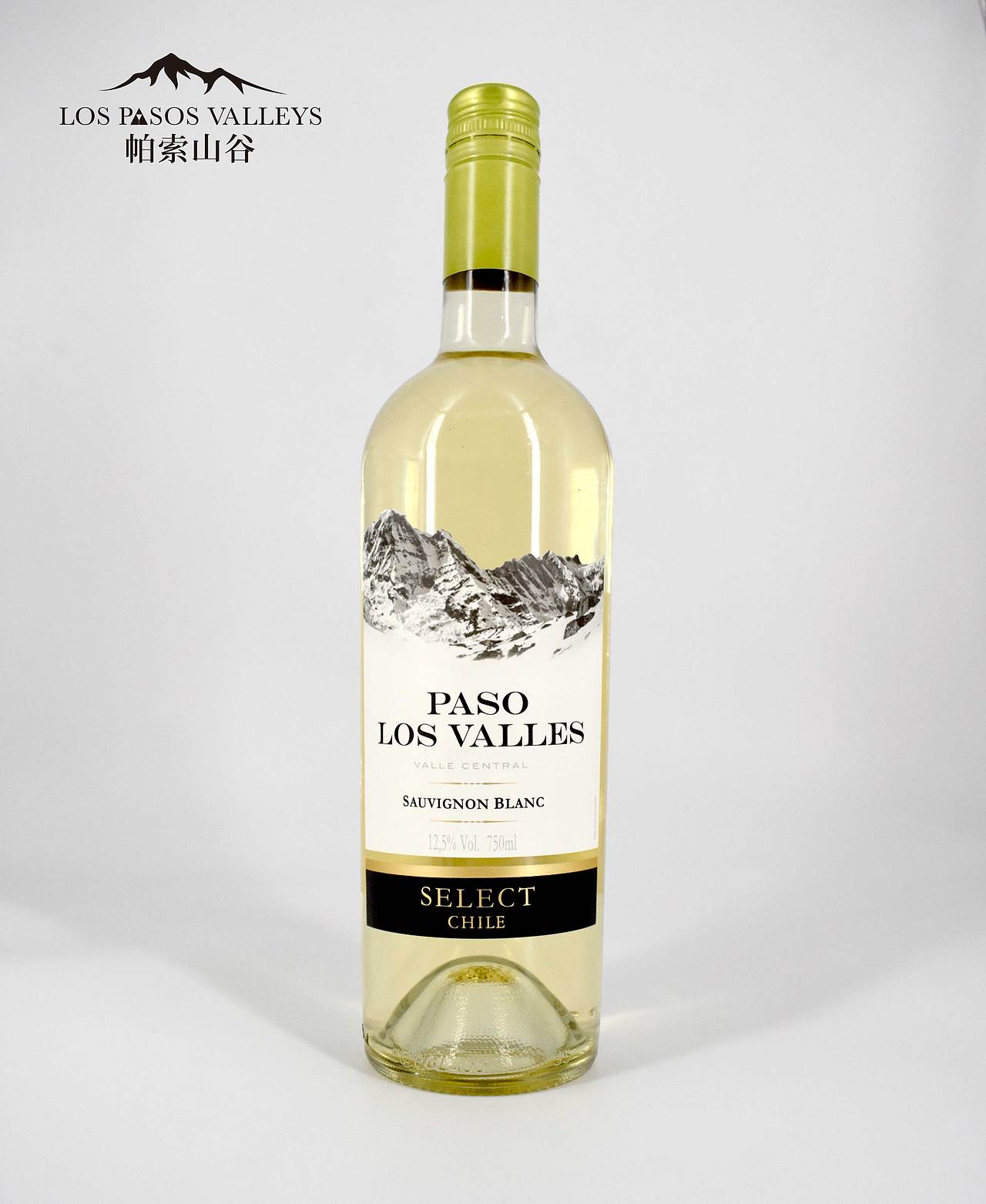 红酒“帕索山谷”LOGO设计