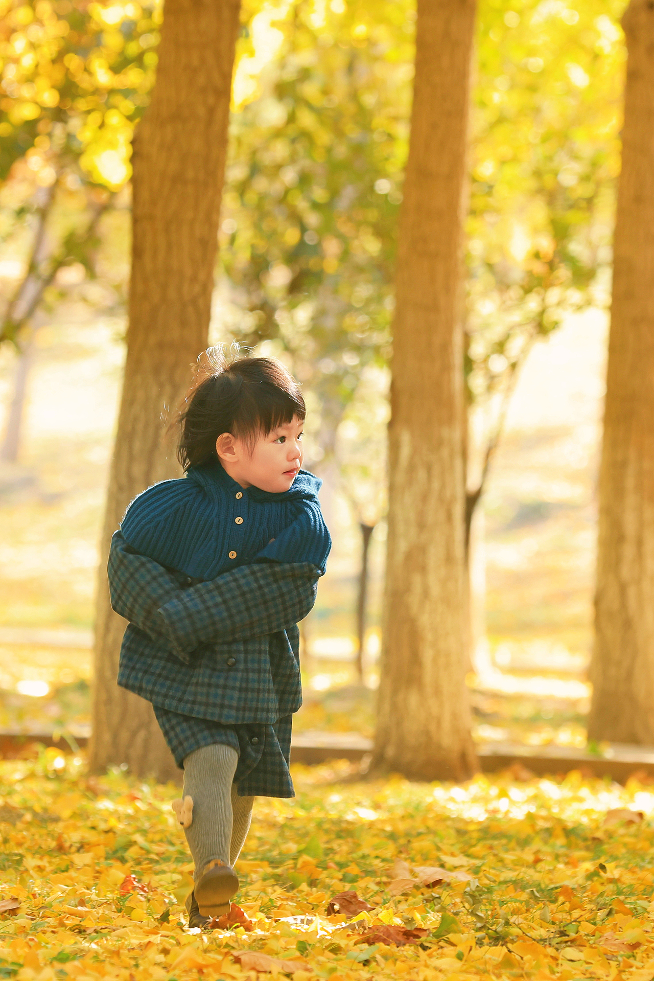 抓住秋天的尾巴