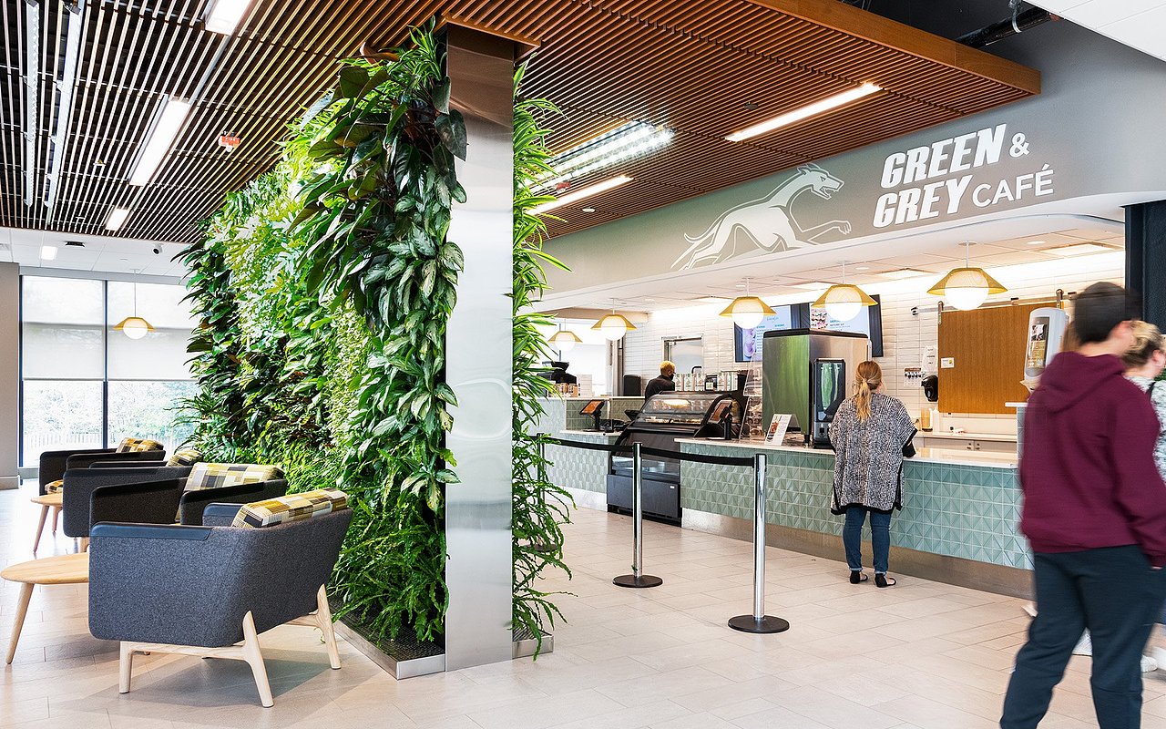 费尔南德斯创新与协作学习中心-标识设计