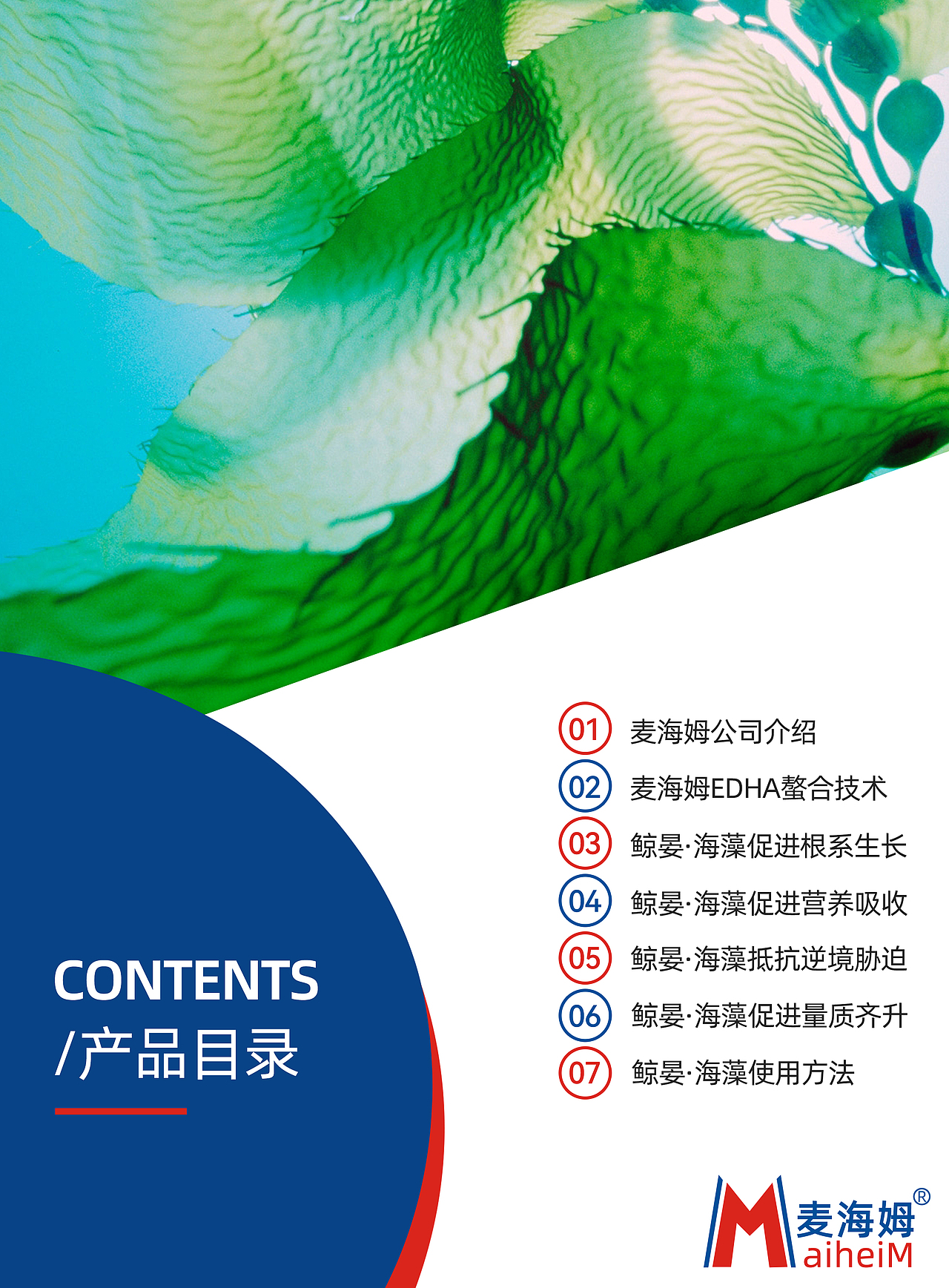 产品手册设计作品