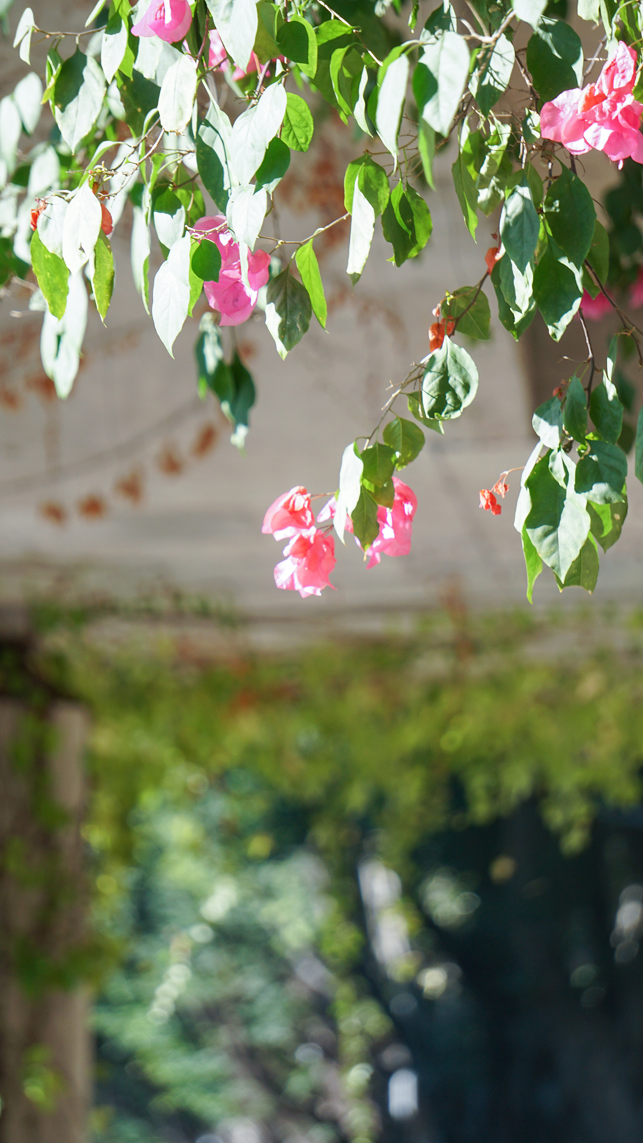 福州扫街221218（图ZMzI1ODA0NDA4） - 人文/纪实摄影 - 站酷设计师炭烤旺旺原创素材 - 站酷ZCOOL