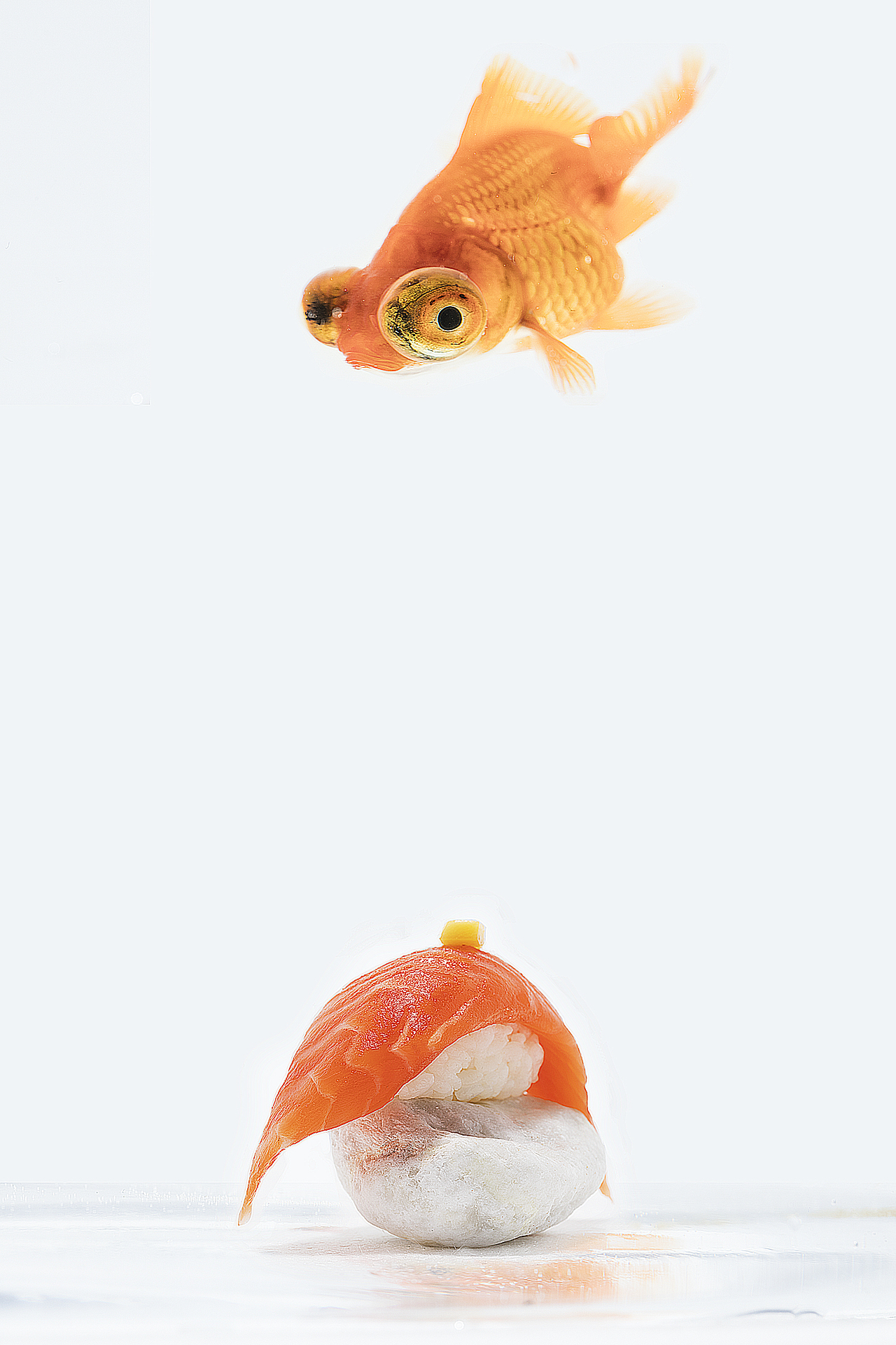 日料系列（图ZMzQwODI1OTcy） - 美食摄影 - 站酷设计师gesaimage原创素材 - 站酷ZCOOL