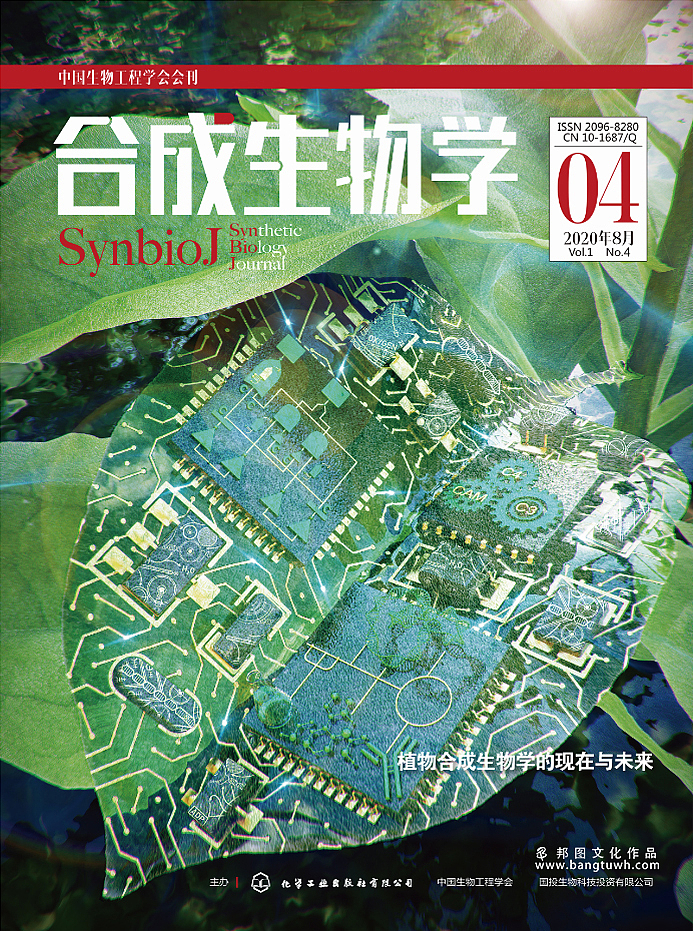 杂志封面设计服务 作品展示