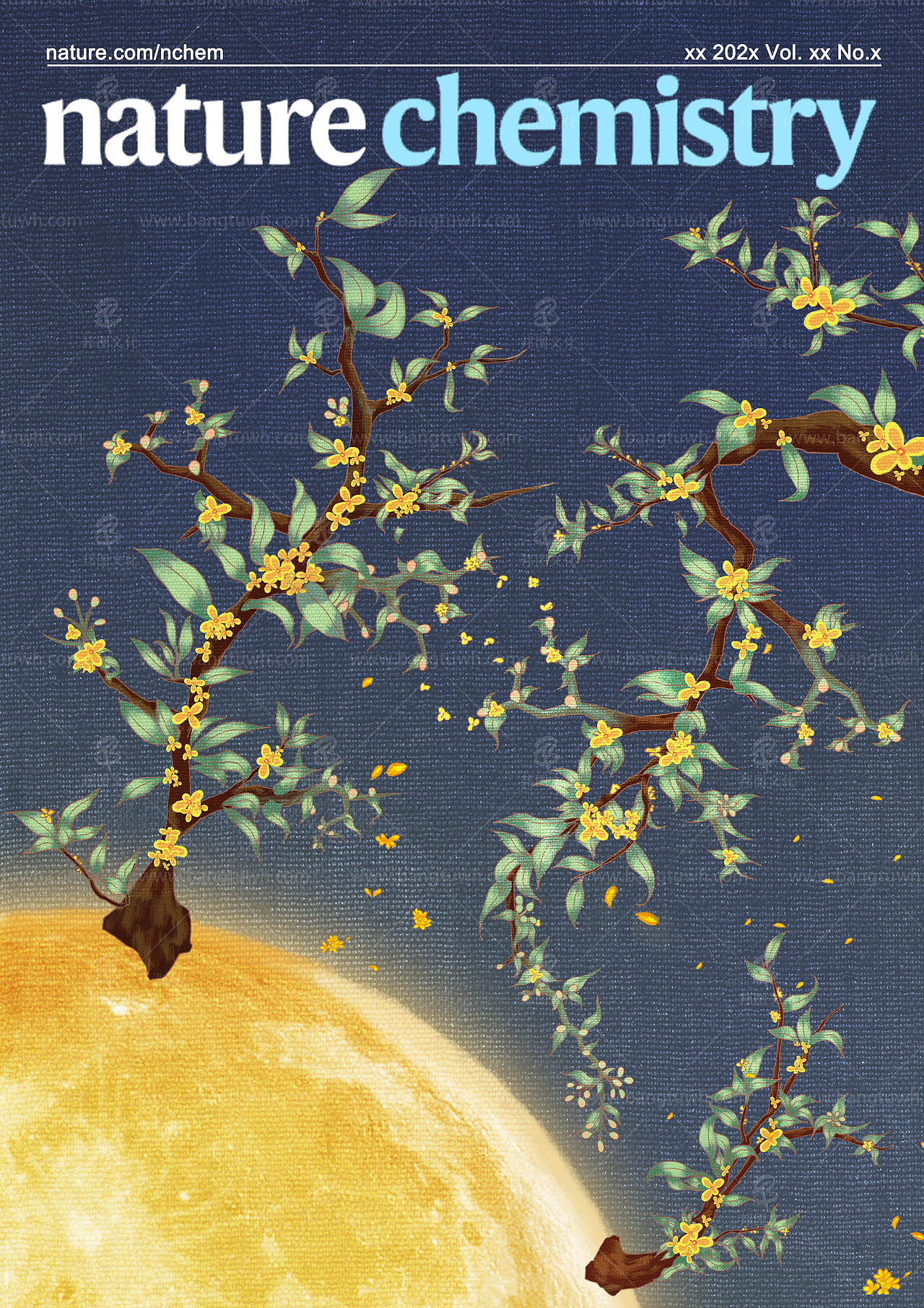 杂志封面设计服务 作品展示