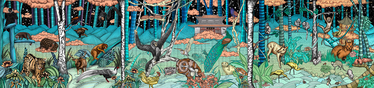 我们的插画长卷上央视啦!《秘境云南》插画长卷..