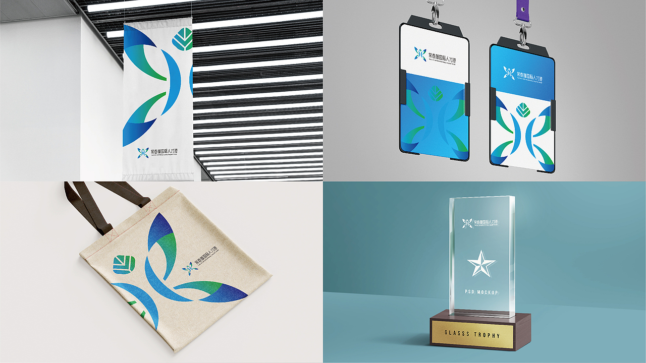 常春藤国际人才港LOGO设计