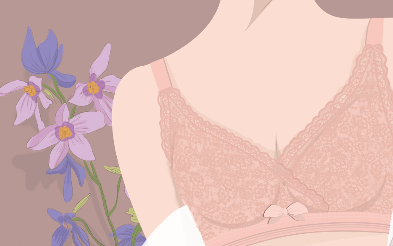 品牌插画|内衣插画 舒适性无钢圈内衣