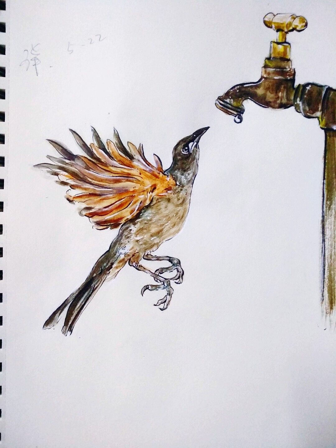 缤纷的动物世界2