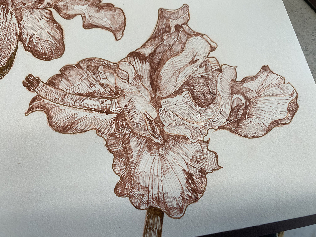 我的大花园(手绘花卉与热植包装)(图ZMzMzOTE2NTQw) - 商业插画 - 站酷设计师寒江雪的插画原创素材 - 站酷ZCOOL