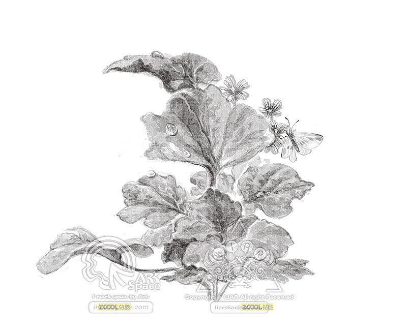 《诗词里的植物》