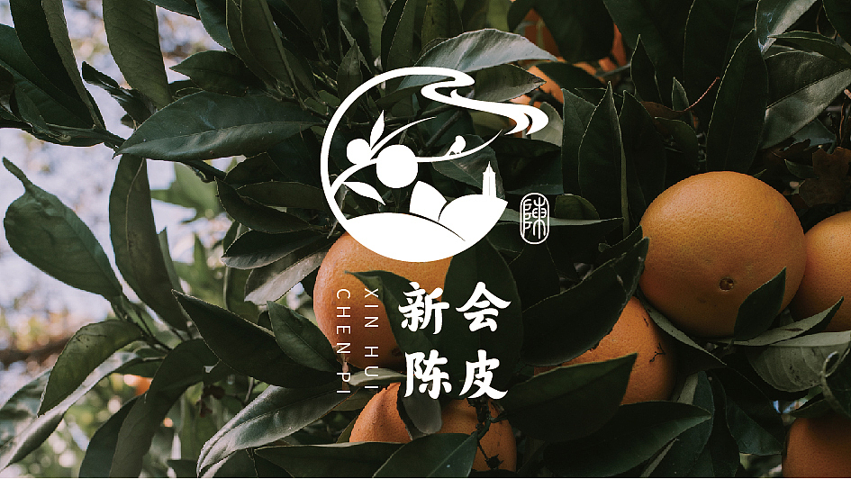 中国风新会陈皮logo设计（图ZMzE0NzE2MjM2） - Logo - 站酷设计师小yk原创素材 - 站酷ZCOOL