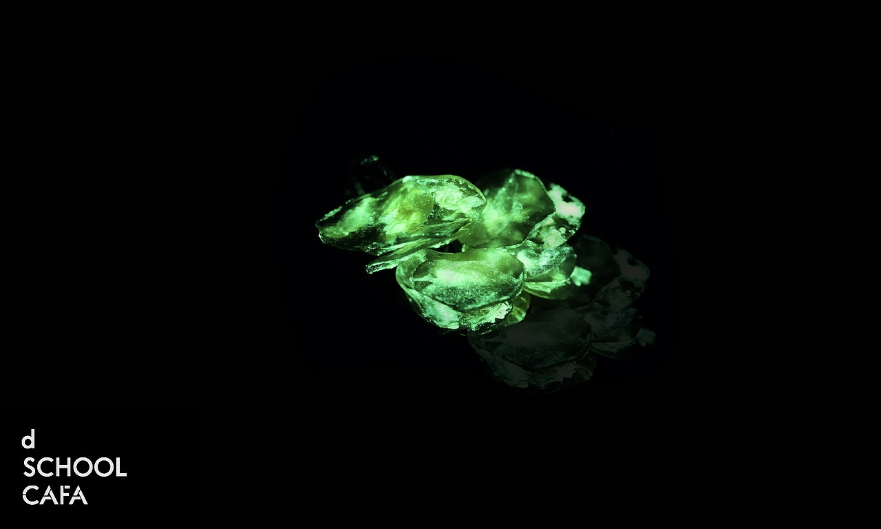 #2022青春答卷#我从哪里来