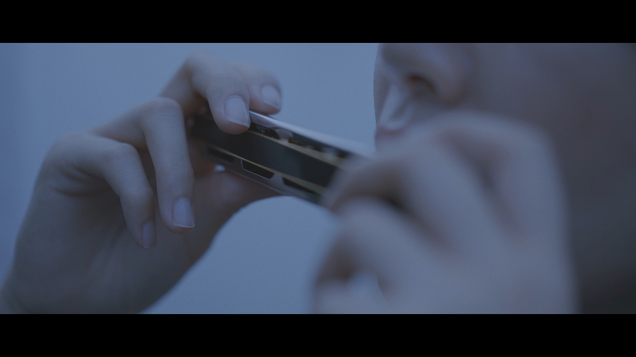 琴声寄信 直至回忆歇斯底里