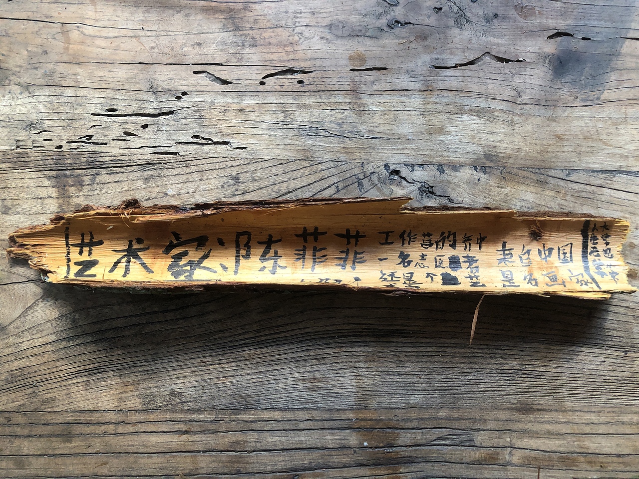 《共生》- 我在贵州画树皮（图ZMzI1ODc0NTA4） - 商业插画 - 站酷设计师菲非Fiona原创素材 - 站酷ZCOOL