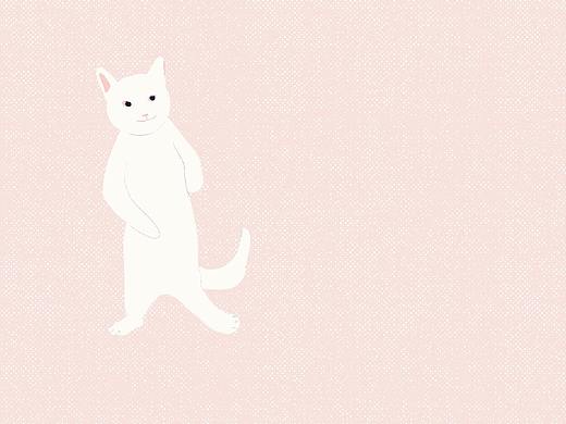 GIF动图插画|猫猫模特队