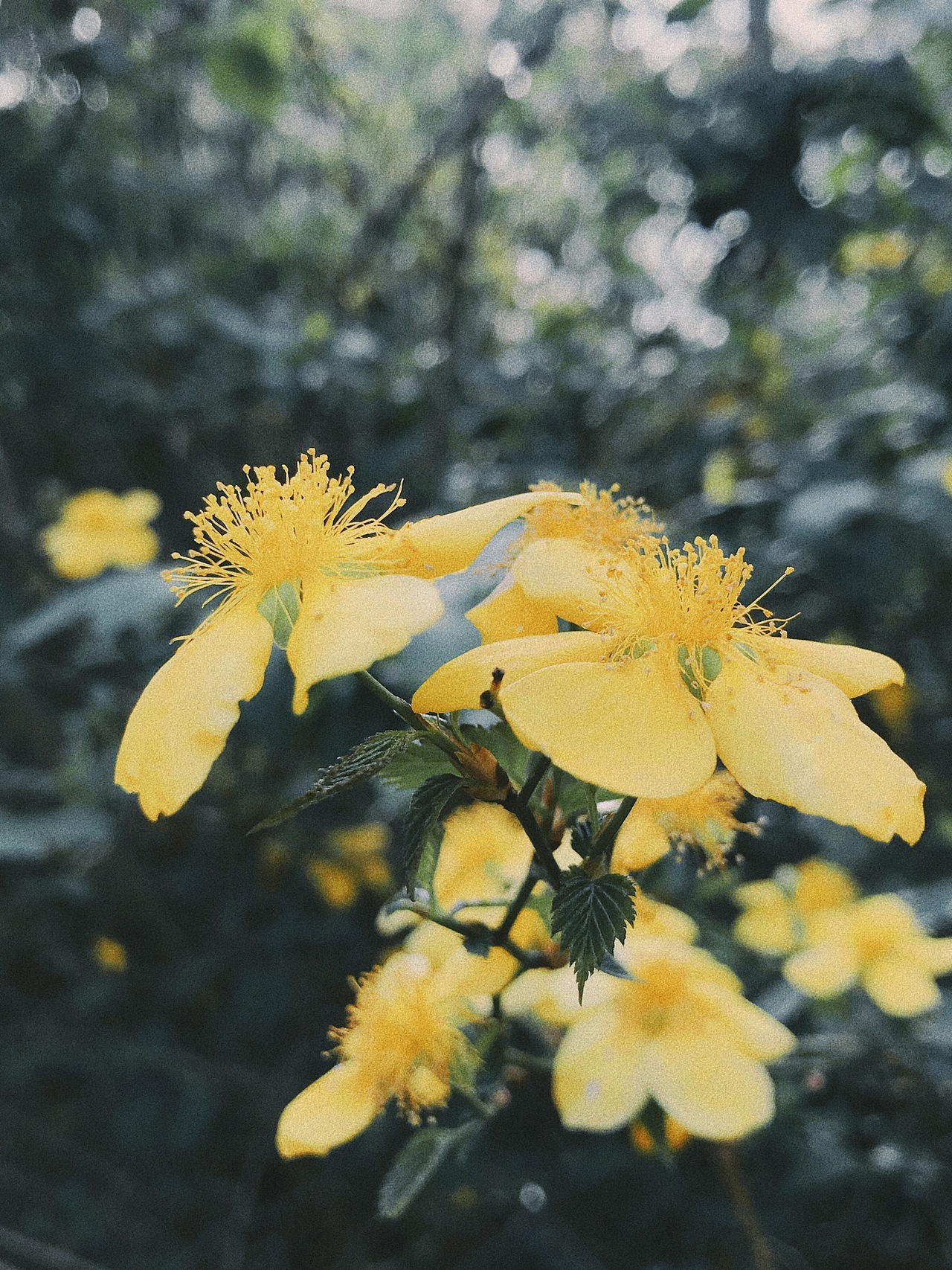 碧沙岗公园（图ZMjQ4OTQyMzQ4） - 人文/纪实摄影 - 站酷设计师白日梦想家阿旭原创素材 - 站酷ZCOOL