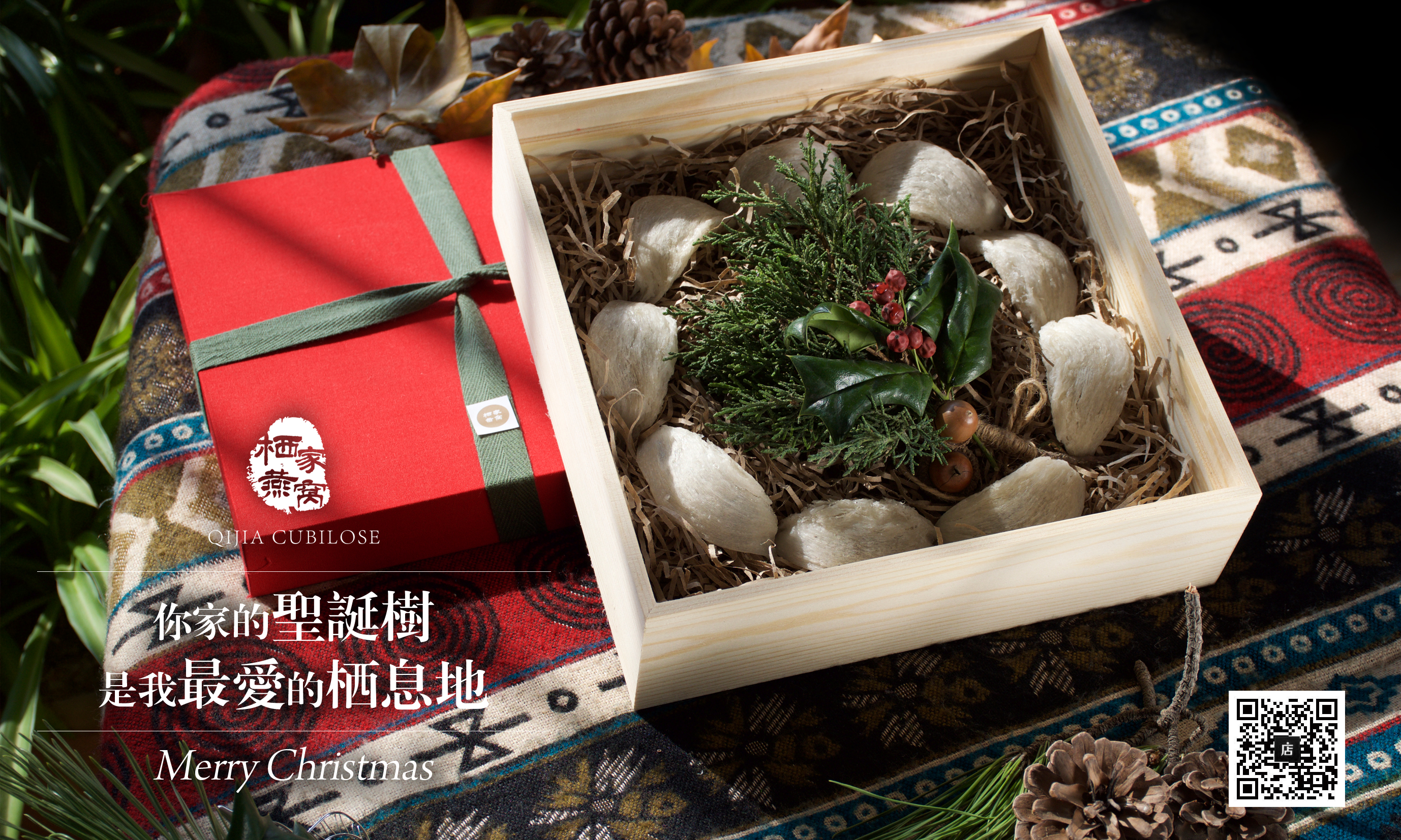 栖家燕窝 · 2015圣诞特别企划【你家的圣诞树是我最爱的栖息地】