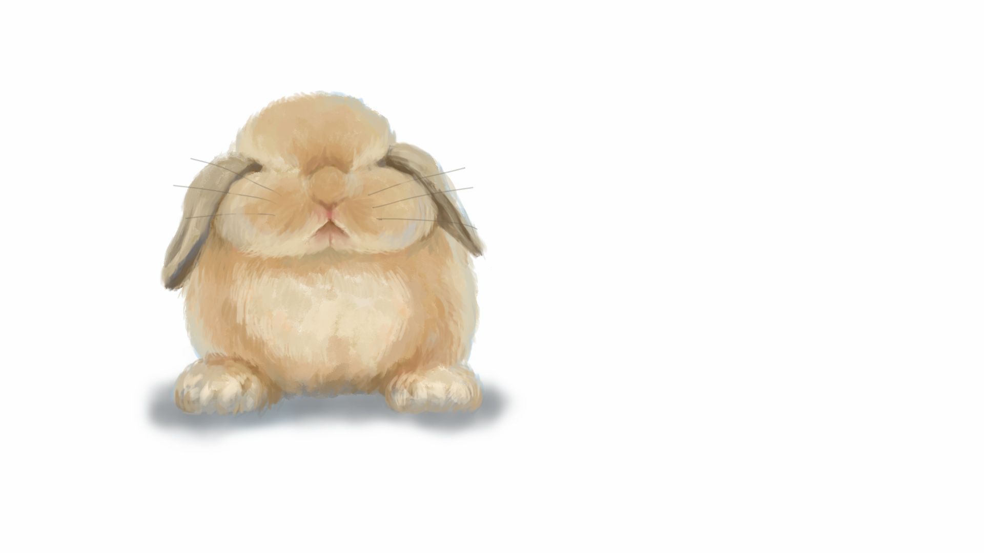 小兔子|插画|其他插画|林钟 - 原创作品 - 站酷 (zcool)