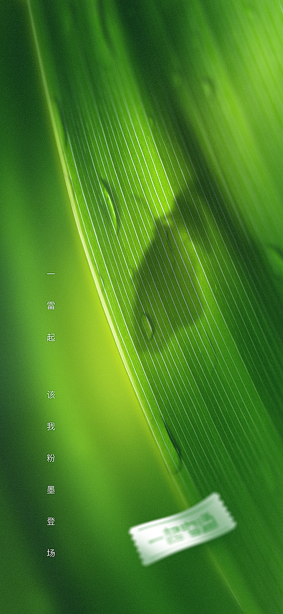 24节气图设计·solar terms(图ZMjg3NDgyMzI0) - 海报 - 站酷设计师飞翔的鱼321原创素材 - 站酷ZCOOL