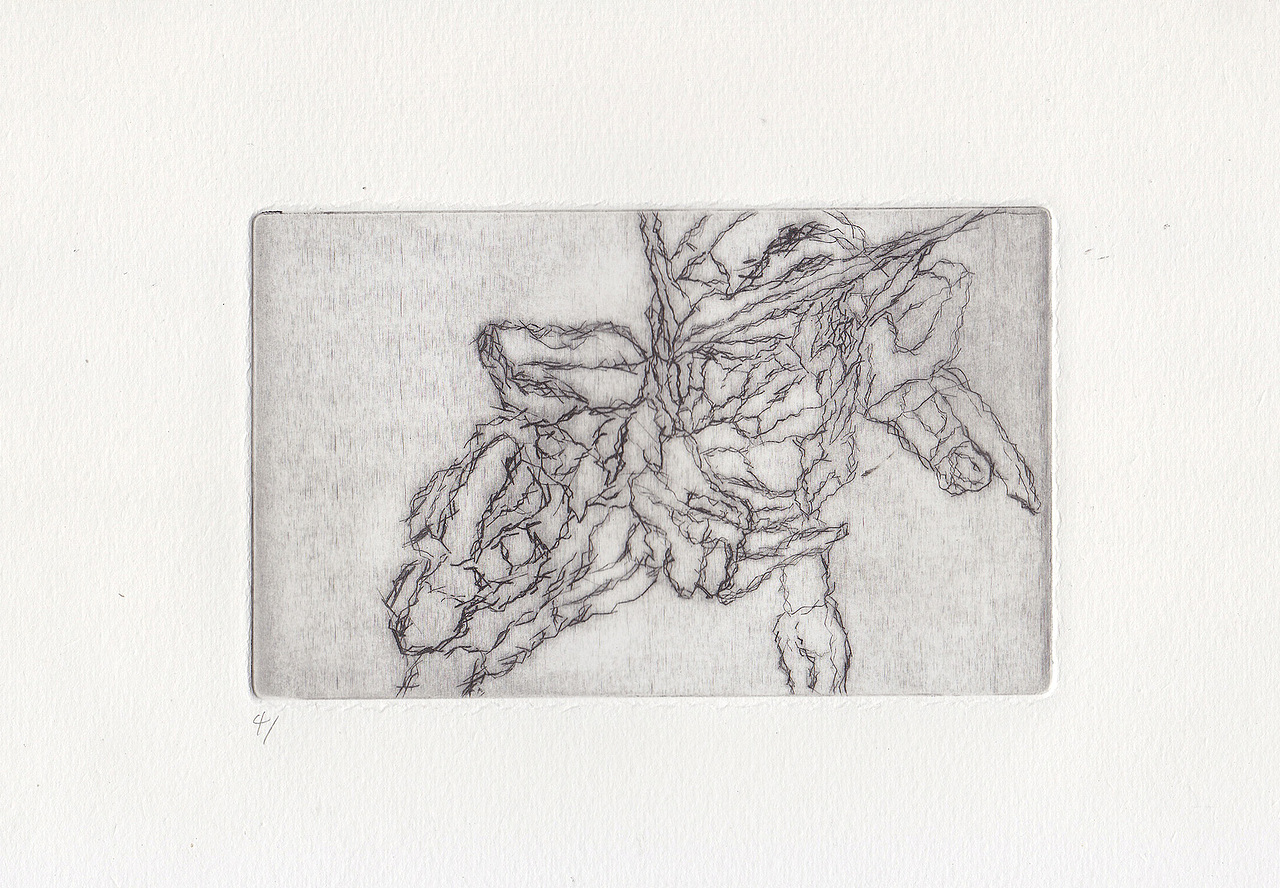 第一次尝试锌版画