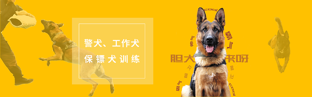 宠物banner（图ZMTU4ODMzNjE2） - 运营设计 - 站酷设计师夏沫的微笑原创素材 - 站酷ZCOOL