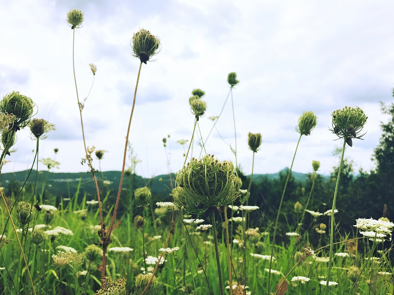 震后大美青川手机随拍