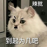 Vernom的头像