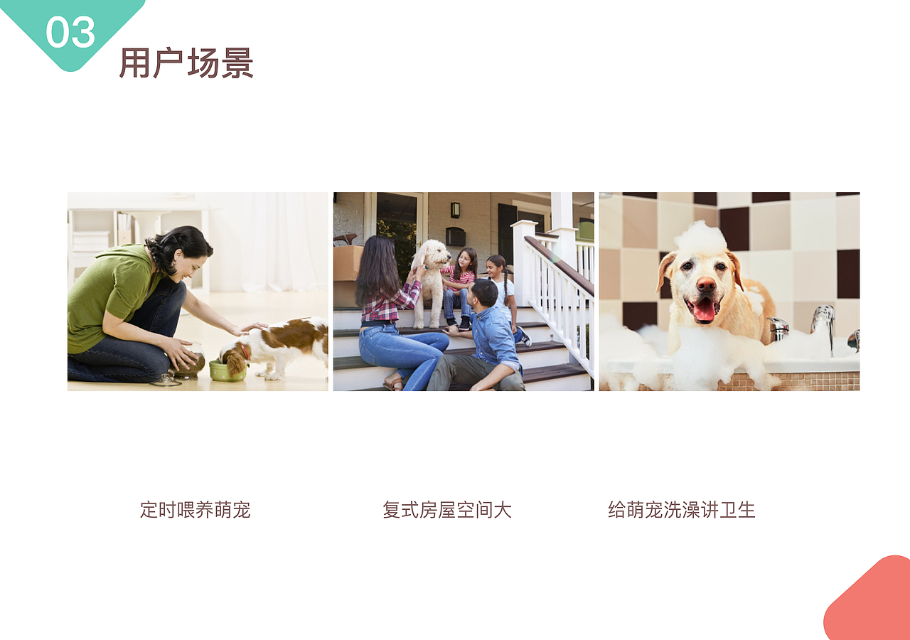 《网络形象设计》课程展：宠物之家——寄养APP设计（图ZMjMwMjAxOTA0） - APP界面 - 站酷设计师54DOLLY原创素材 - 站酷ZCOOL