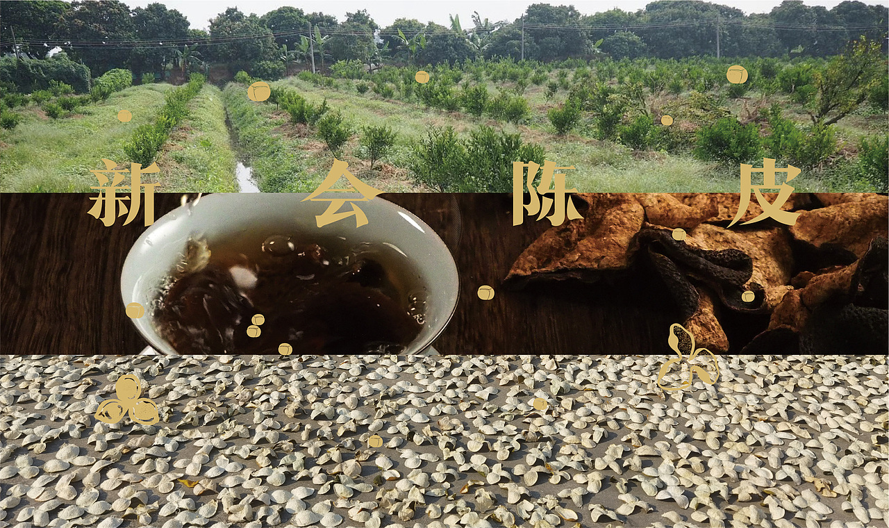 陈皮包装设计（图ZMjQ0OTg2OTYw） - 包装 - 站酷设计师陈宁naill原创素材 - 站酷ZCOOL
