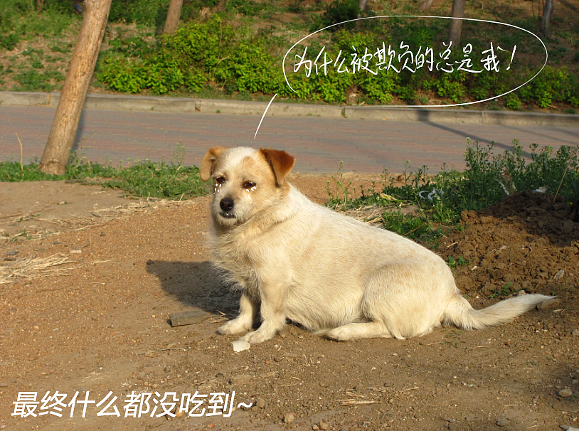 我结交了一群新朋友（图ZMjc2MjE3ODg=） - 文案/策划 - 站酷设计师画师x如也原创素材 - 站酷ZCOOL