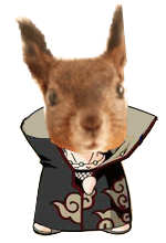 HI~我是爆乳飞（图ZMTc5MzIyOA==） - 宠物摄影 - 站酷设计师pinkmana原创素材 - 站酷ZCOOL