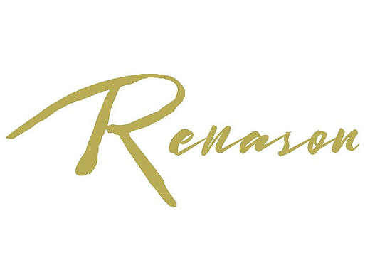 瑞纳生使用说明书设计