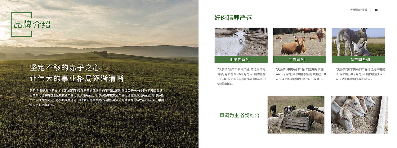 天骄情项目总结