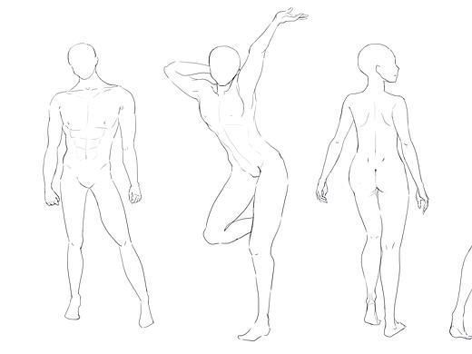 人体线条练习打卡