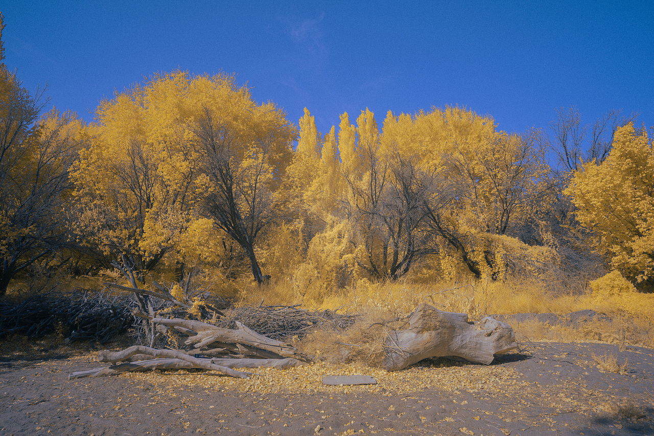 戈壁|摄影|时尚/艺术摄影|monkey仔 - 原创作品 - 站酷 (zcool)