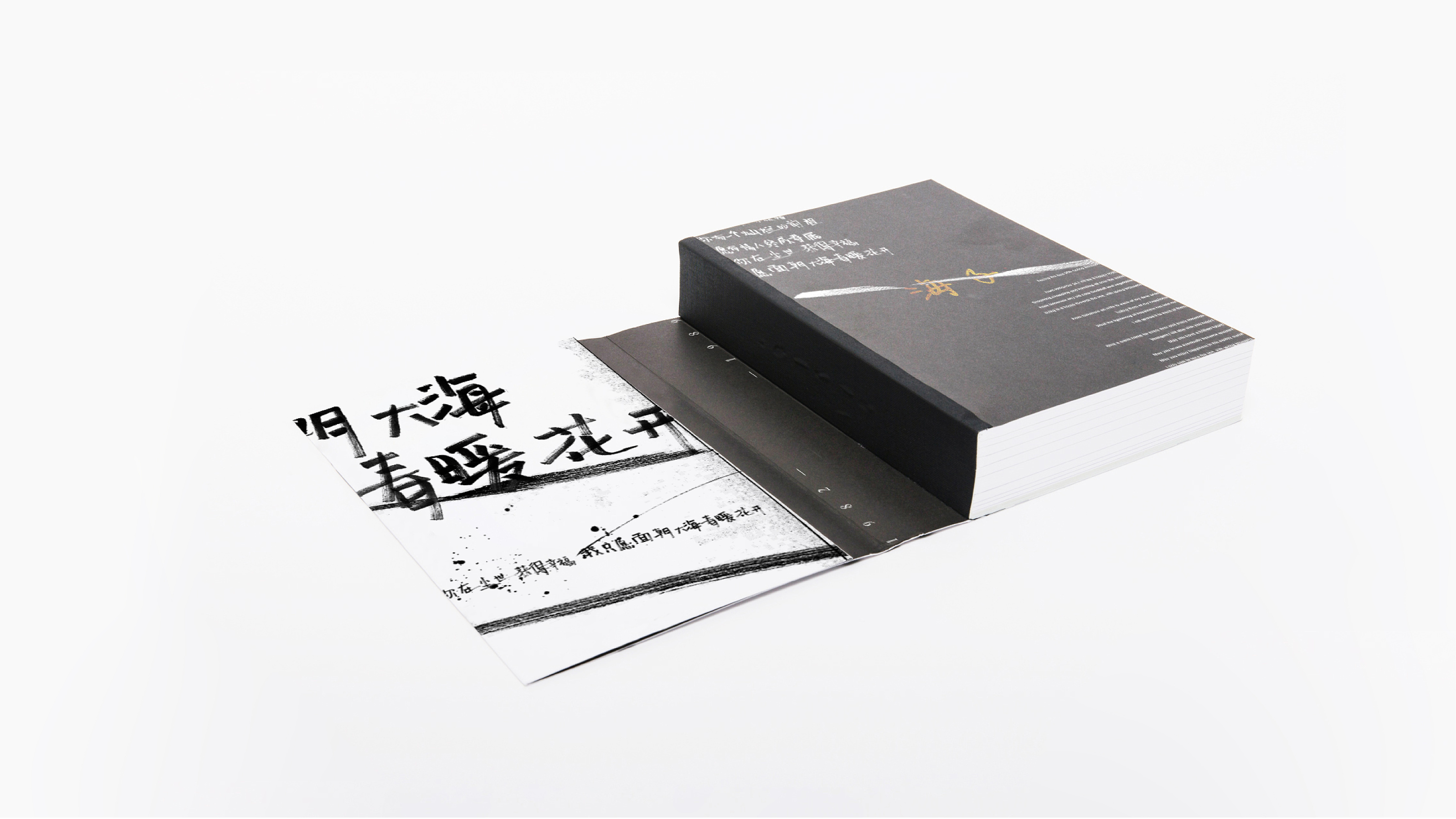 海子作品集书籍装帧设计