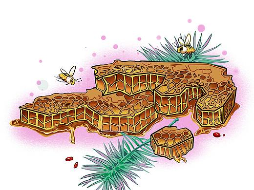  药品包装 补品包装 插画