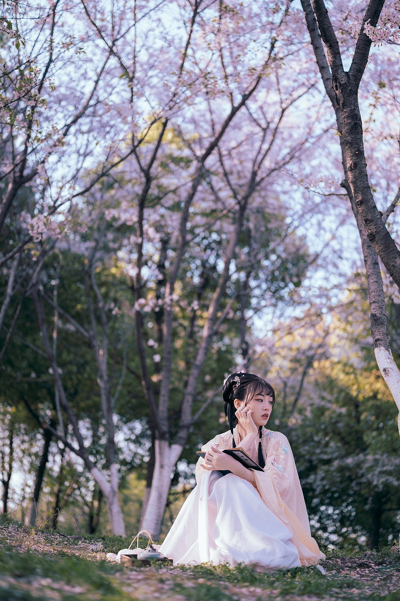 樱花落（图ZMjA0MzMxNjY0） - 人像摄影 - 站酷设计师拍照的青山原创素材 - 站酷ZCOOL