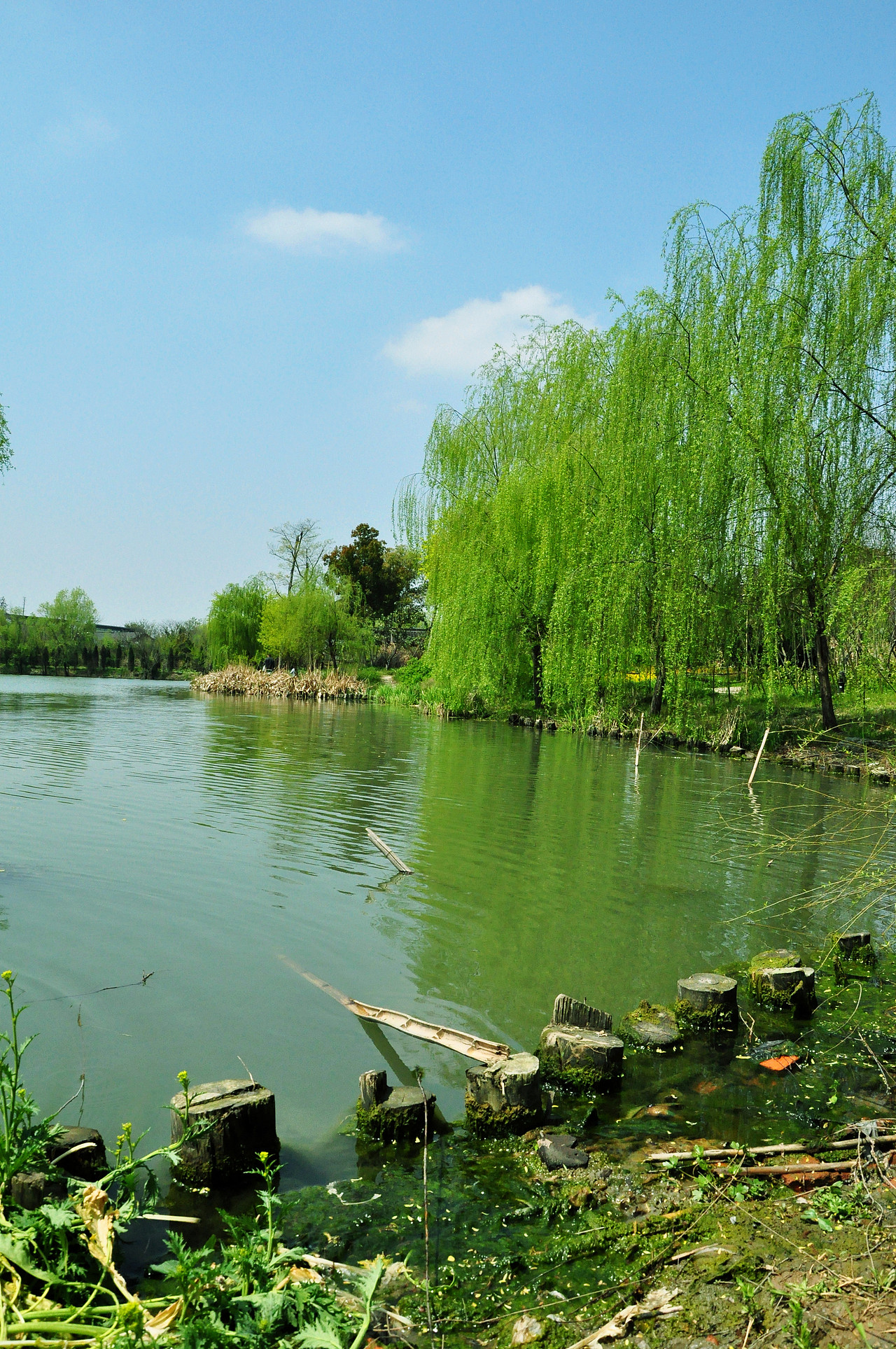 大学摄影随手拍拍（图ZMjUwOTI5OTI=） - 风光摄影 - 站酷设计师传媒摄影人原创素材 - 站酷ZCOOL