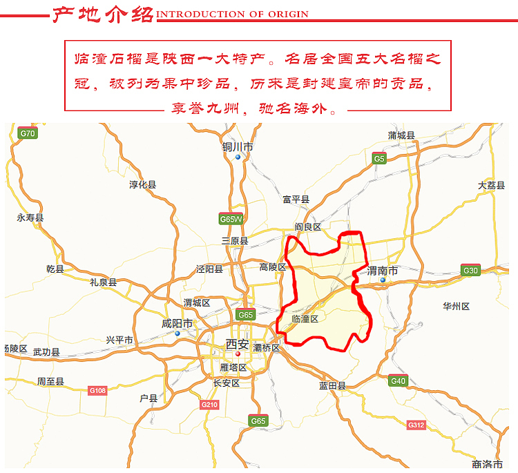 临潼石榴（图ZNjM2ODU3NzY=） - 电商 - 站酷设计师楠楠花语原创素材 - 站酷ZCOOL