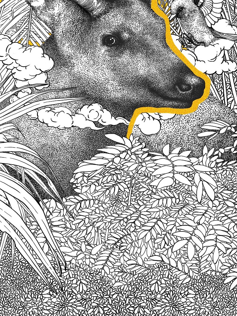 插画自然之歌系列之《万物生灵》（图ZMjk4MTYzOTY0） - 新锐潮流插画 - 站酷设计师灰灰的世界原创素材 - 站酷ZCOOL