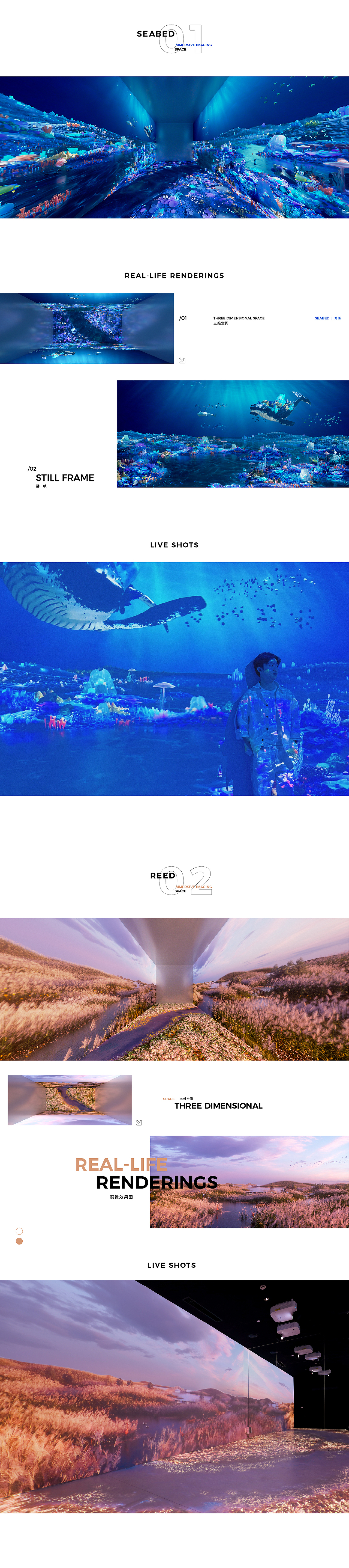 沉浸式影像空间 | ALA&CO沪甬人才合作区·体验展示中心