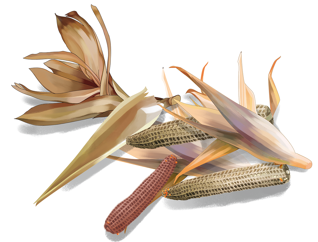 老物件兒（圖ZMTE2MzM0ODgw） - 商業(yè)插畫 - 站酷設(shè)計師wtt861104原創(chuàng)素材 - 站酷ZCOOL