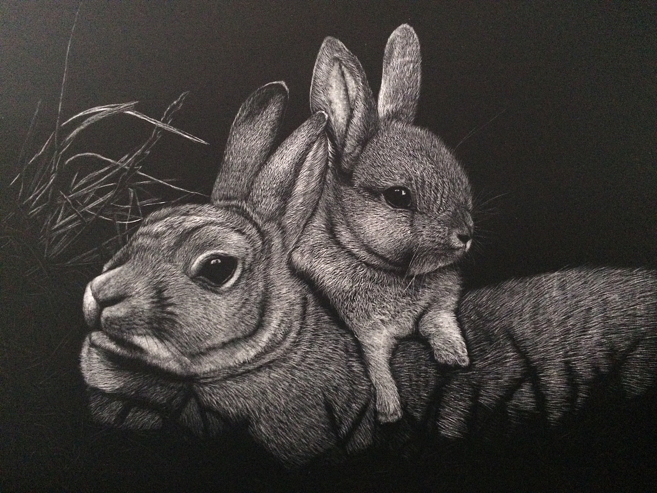 李子哥刮画作品iloveyoutoo兔