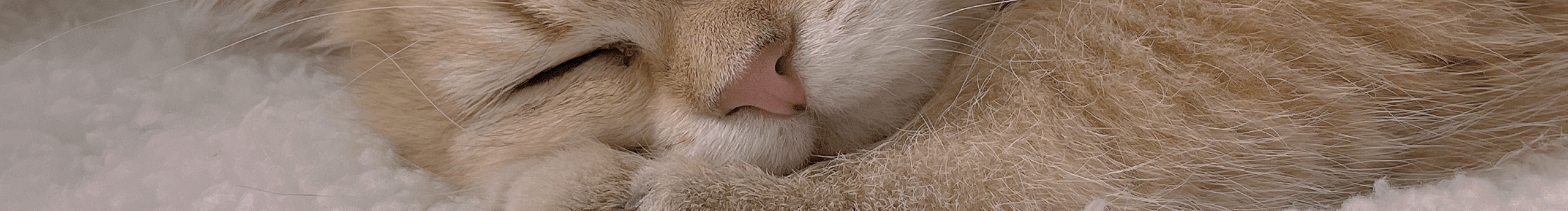 You_See_See的个人主页（封面预览） - 主页封面设置 - 站酷设计师You_See_See原创素材 - 站酷ZCOOL