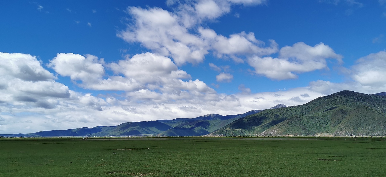 香格里拉依拉草原