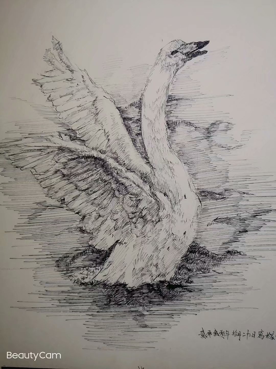 钢笔画练习小结！（图ZMjM0Nzc1NjQ0） - 绘画 - 站酷设计师刘月春原创素材 - 站酷ZCOOL