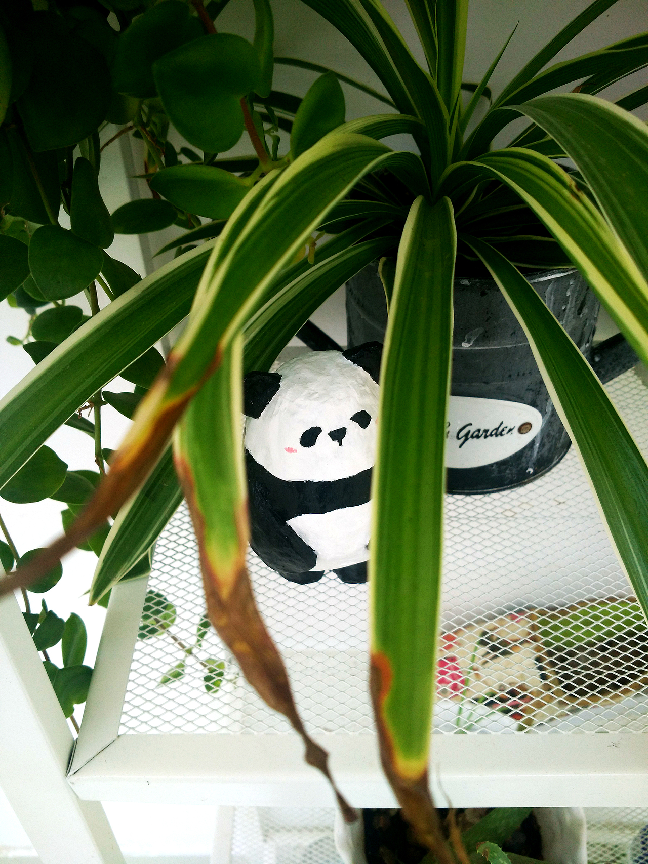 【纸塑】报纸的重生轮回(4)Panda 熊猫