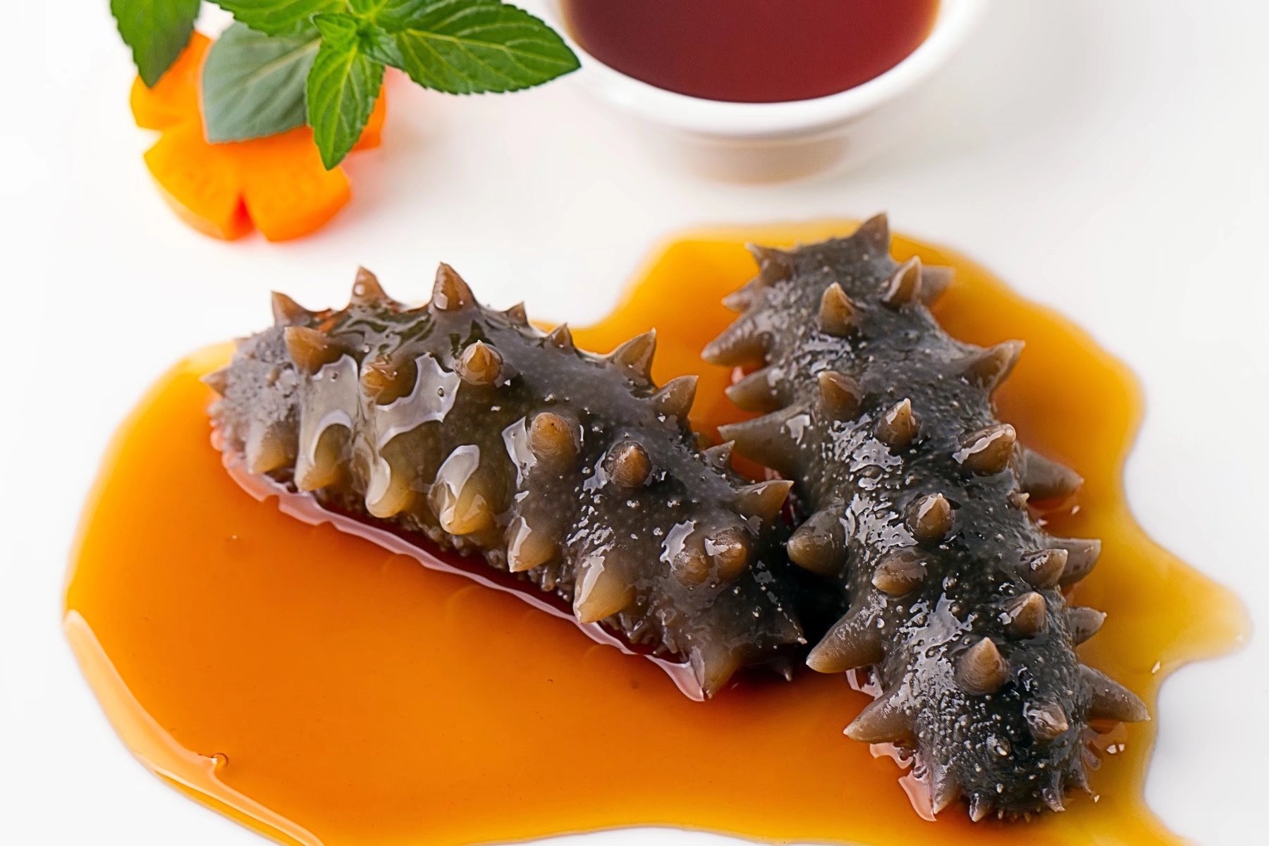 海参是正经海参!